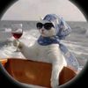 wajihaaaaaaaaaaa_111