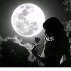 shime_2010