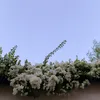 ___alyaa96