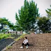 vinh.duyno95
