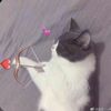 melieen_09