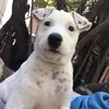 rbqpfm