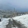 daidzou
