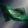 noura11201