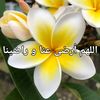 sabeh79