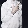 andre07_haja