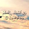 dy0y4430d340omar