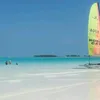 dai_0821