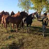 cciroalcuaz