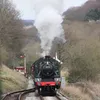 basictrains