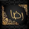 dy46tje5w8w