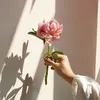 naliaziz496