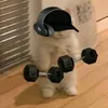 freaky_paulo