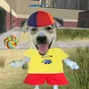 slandersinnnnh