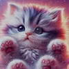 fluffypaws74