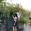 lathanhhuong9550