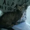 nhatjphus