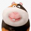 sillyolbear1220