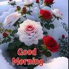 raf.khan.7