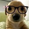 rafa_754