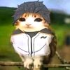 NatsukiFx