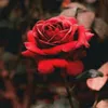 cath_172
