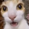 udnmlnaaa