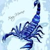xavy2970
