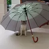 ahmnagieb
