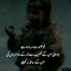 kiranmalik6461