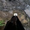 ning.sil