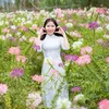 hongtit1197