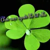 oanh.quch29