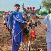 zeeshanjutt5353