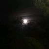moon.21231