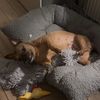 mgizzzzz