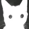 terk_2
