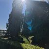 natureinspiredcollective