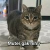 ___kosong___