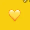 xsun.shine_