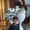 ali12344567786