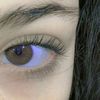 xime_isa09