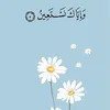 user2429010631878