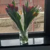 olgy_olgy