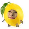 zaza_abimanyu