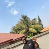 kwamestepz