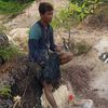 jamal_behel