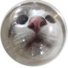 mycatscratchedmyleg