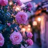 tikaccount08