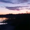 jason_on_nb
